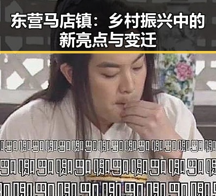 东营马店镇：乡村振兴中的新亮点与变迁
