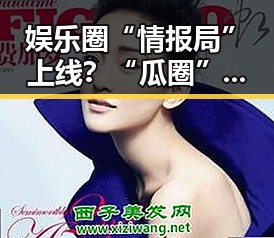 娱乐圈“情报局”上线?“瓜圈”软件引爆吃瓜热潮